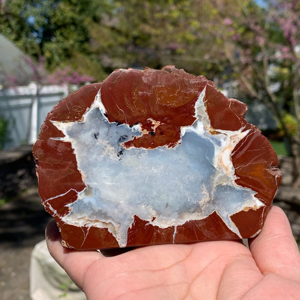 Vtg Geo Rock Sliced and Polished